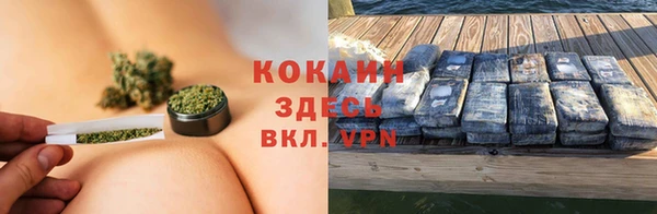 стафф Абинск