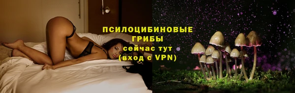 стафф Абинск