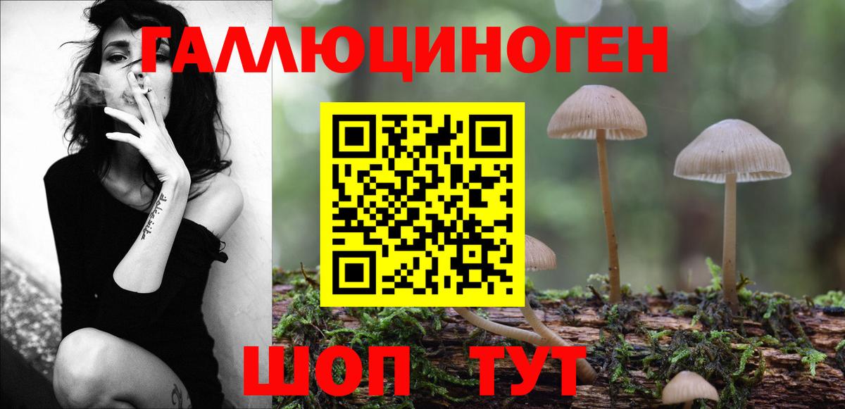 Галлюциногенные грибы мицелий Торжок